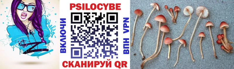 Псилоцибиновые грибы мухоморы  купить   Мышкин 